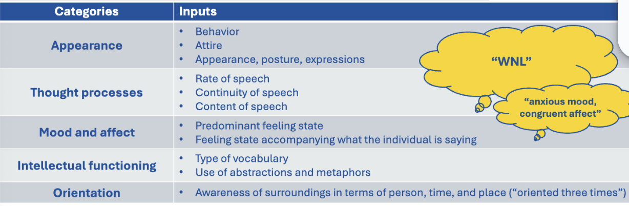 <ul><li><p><span>During most client encounters, clinicians perform the mental status exam</span></p></li></ul><p></p>