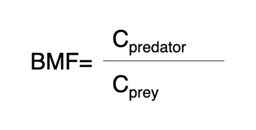 <p>By considering lipid normalized tissue concentrations within an organism vs. lipid normalized concentrations of that in the prey of the organism</p><ul><li><p>Assumes all predator tissues concentrations are obtained from prey</p></li></ul>