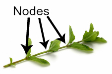 <p>What is a node?</p>