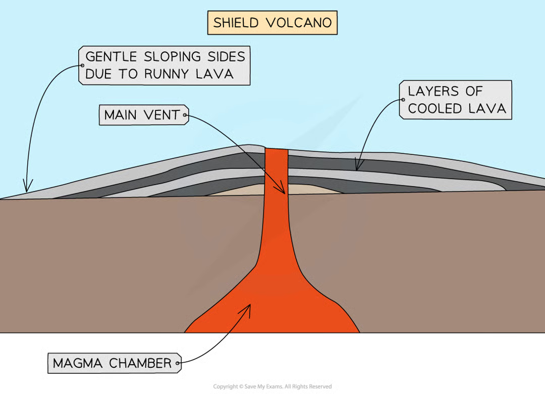 <ul><li><p><strong>gently </strong>sloping sides</p></li><li><p><strong>runny</strong>/thin lava</p></li><li><p>less explosive, <strong>gentle </strong>eruptions</p></li><li><p>tend to form on <strong>constructive </strong>plate boundaries or <strong>hot spots</strong></p></li><li><p><strong>frequent </strong>eruptions</p></li></ul><p></p>