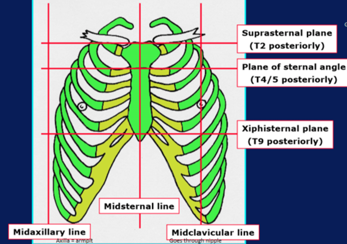 knowt flashcard image