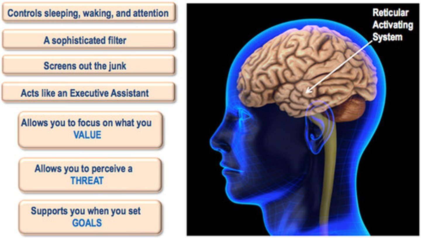 <p>What that means is, the RAS is able to filter and control what incoming information (stimulus) you're aware of, so that you'll be motivated to behave in a certain way.</p><p>Why? It's a survival mechanism. At any given time, only a certain amount of information is actually useful to your brain. For example: If there's a tiger about to attack you, that's the only information your brain needs to drive you to action - RUN for your life! It doesn't need to know what color the grass and flowers are, or how the air smells, or what song is playing in the background - those things are all irrelevant information.</p><p>Your RAS is the thing that analyzes what incoming information is actually relevant to you (and your survival), and lets only the most important stuff through - it actively blocks the rest of the info (so you are not aware of it).</p>