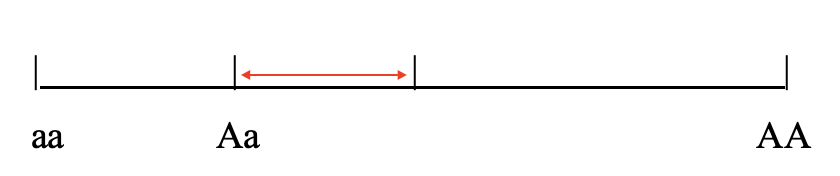 <p>When Phenotypic Value <strong>deviates from additivity</strong>, this is  called Dominance Variance, and it is <strong>due to interactions among alleles</strong> at a locus</p><p>Dominance effects are <strong>not transmitted directly </strong>from parent to offspring <strong>because</strong> <strong>only one allele is contributed</strong> by each parent</p>
