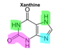 <p>There are many CNS stimulants that are derivatives of <strong>Xanthine</strong></p><p></p><p>which amines are acidic?</p><p>which amines are weakly basic?</p><p>is the functional group in pink acidic or no? </p>