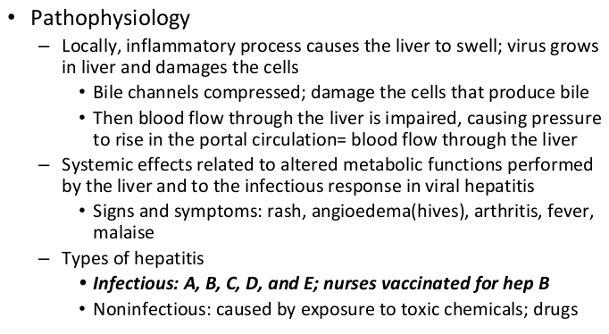 <p><strong>inflamed liver. virus grows & damages cells</strong></p><p>s&s: fever, rash, angioedema (hives), arthritis, fever, malaise </p><p>risk: tylenol, alcohol</p>