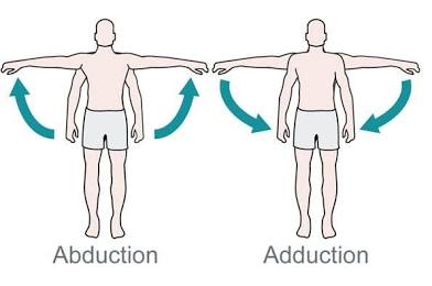 <p>Moves bone closer to midline.</p>