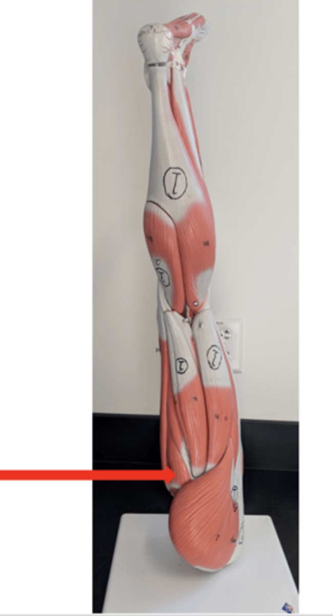 <p>what is this?</p>