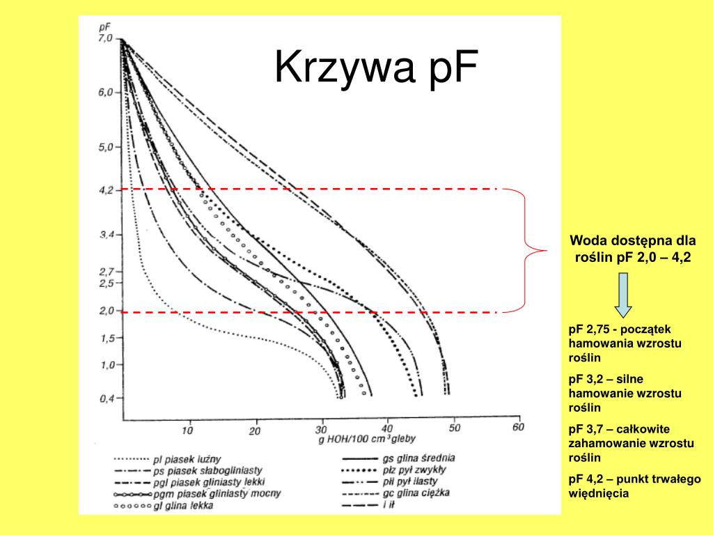 <p>krzywa pF - krzywa sorpcji glebowej</p>