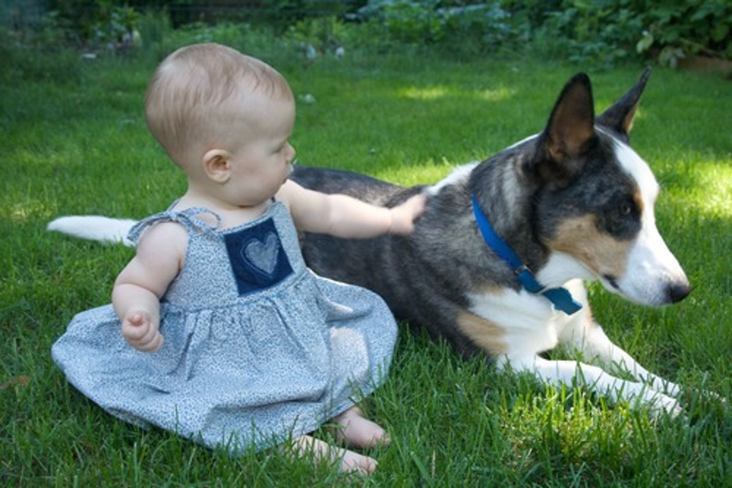 <p>softly</p>