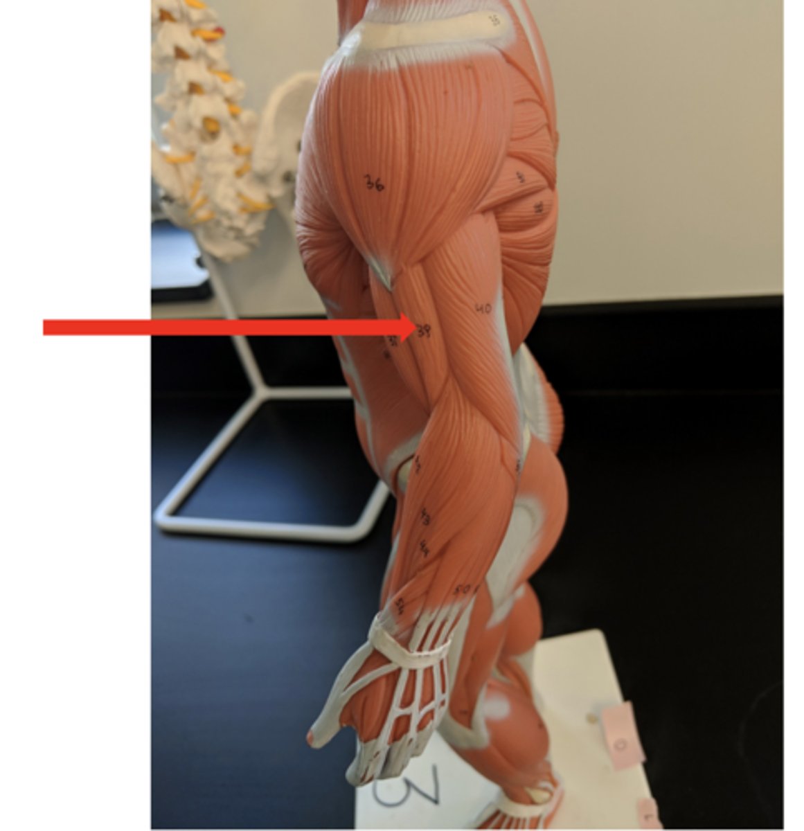 <p>what is this?</p>