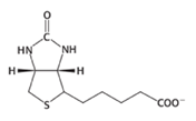 <p>A covalently attached prosthetic group which serves as the carrier of activated CO<sub>2</sub> in the conversion of pyruvate into phosphoenolpyruvate.</p>