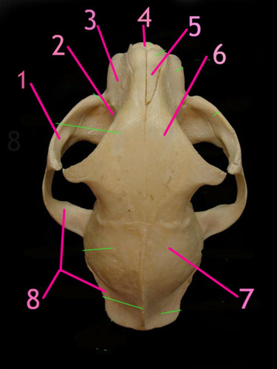<p>3</p>
