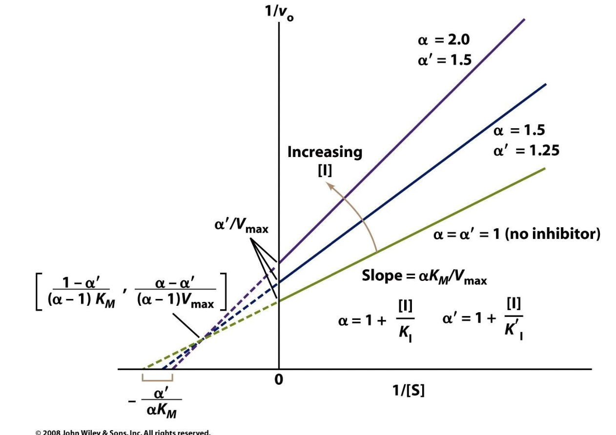 <p>Recall how KI and K’I are calculated:</p><p>KI = [E][I]/[EI]</p><p>K’I = [ES][I]/[ESI]</p><ul><li><p>KI tells us the rate at which the inhibitor binds to the free enzyme</p></li><li><p>K’I tells us the rate at which the inhibitor binds to the ES complex</p></li></ul><p>From this, we can find <span>α and α’</span></p><p><span>α = 1 + [I]/KI</span></p><p><span>α’ = 1 + [I]/K’I</span></p><p><span>Recall K’M is the apparent Michaelis constant in the presence of an inhibitor, which is given by:</span></p><p><span>K’M = KM*</span>α/α’</p><ul><li><p>So K’M is directly proportional to α but indirectly proportional to α’ —&gt; dependent on BOTH</p></li><li><p>If the inhibitor has a greater affinity for free E (lower KI), then α &gt; α’ and K’M will be high</p></li><li><p>If the inhibitor has a greater affinity for ES complex (lower K’I), then α’ &gt; α and K’M will be low</p></li><li><p>This means that K’M can increase or decrease depending on the reaction!</p></li></ul><p>Recall V’max is the apparent maximum rate of the reaction in the presence of an inhibitor, which is given by:</p><p>V’max = Vmax/α</p><ul><li><p>Note that Vmax is ONLY dependent on α</p></li><li><p>If α is high, then V’max will be low</p></li><li><p>Recall y-int = α’/V’max, so if V’max is low then the y-int will be high, also as [I] increases α’ will increase too, causing the y-int to increase as well —&gt; this is why the y-int is ALWAYS increasing!</p></li></ul><p>Slope</p><ul><li><p>Defined as K’M/V’max </p></li><li><p>Since K’M = K’M*α/α’ and V’max = Vmax/α, we can do some math and redefine slope as αKM/Vmax</p></li><li><p>If α is high (α &gt; α’), the inhibitor prefers the free E and the slope will increase</p></li><li><p>If α is low (α’ &gt; α), the inhibitor prefers the ES complex and the slope will decrease </p></li></ul><p>What Happens to the Intersection Point?</p><ul><li><p>If <strong>slope increases</strong>, lines intersect left of the y-axis.</p></li><li><p>If <strong>slope decreases</strong>, lines intersect right of the y-axis.</p></li><li><p>If <strong>slope remains constant</strong>, lines intersect at the x-axis.</p></li></ul><p></p>