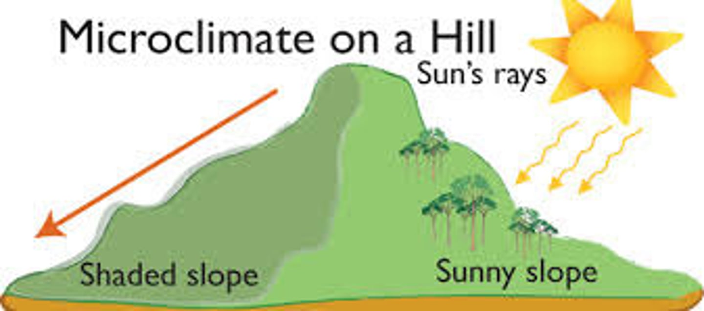 <p>The climate within a small area that differs significantly from the climate of the surrounding area.</p>