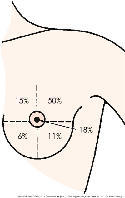 <p><strong>the upper outer quadrant of the breast</strong></p>