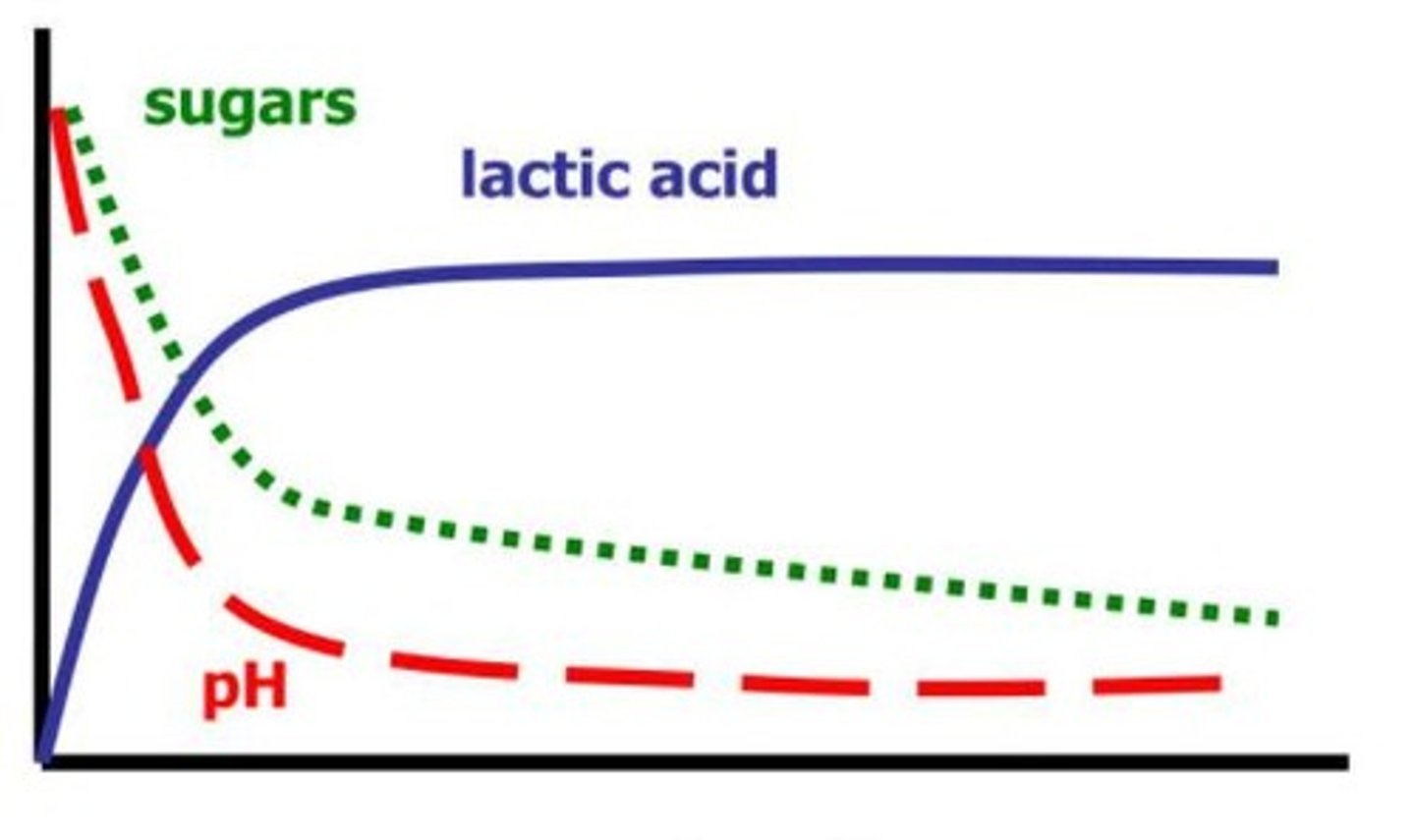<p>Main acid produced during forage fermentation.</p>