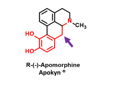 <p>Dopamine receptor agonist</p><p>Nonselective</p><p>No oral bioavailability</p><p>Controls motor dysfunction in PD</p><p></p><p>Agonizes D1 &amp; D2</p><p>Crosses BBB</p>