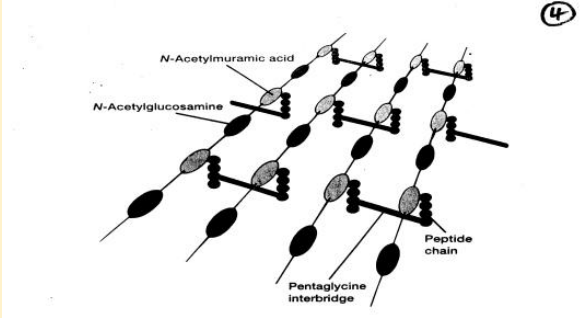 <p>What does this image show?</p>