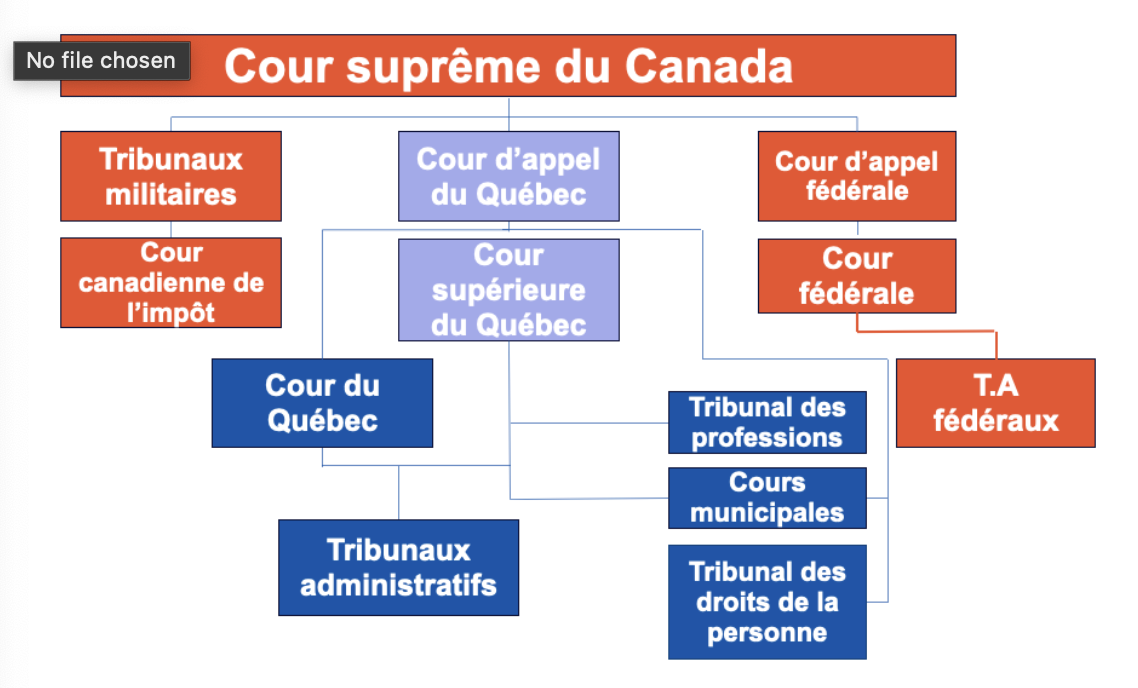 <p>Cour canadienne de l’impôt </p>