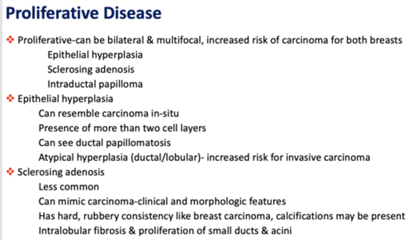 <p>proliferative</p>