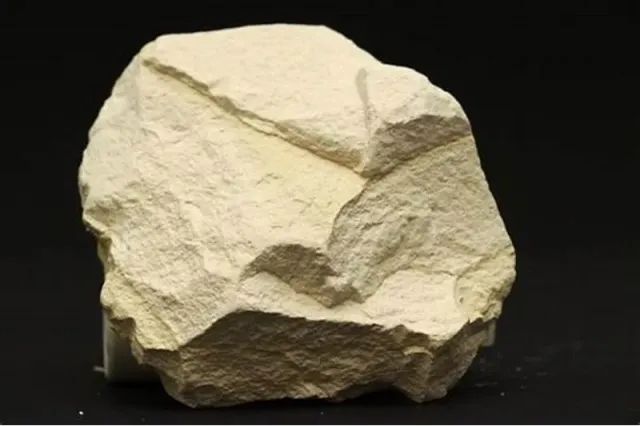<p>Diatomite</p>