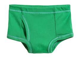 <p>underwear</p>