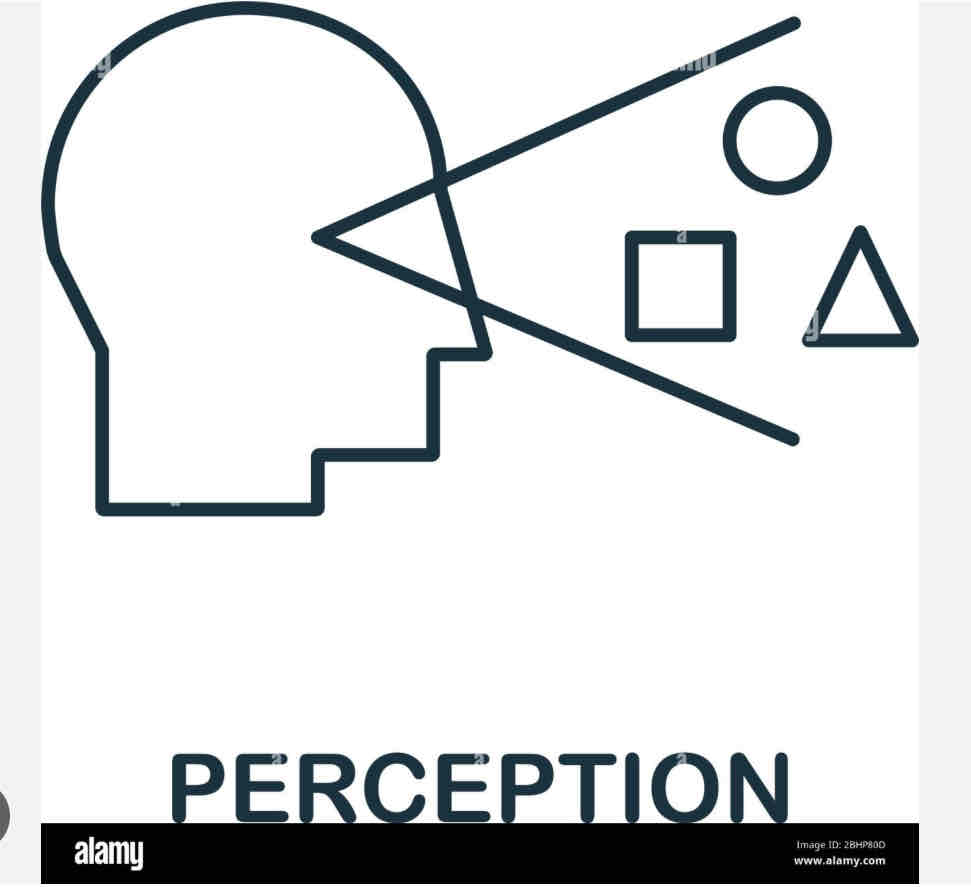 <p>Tendency to see things in a certain way</p>