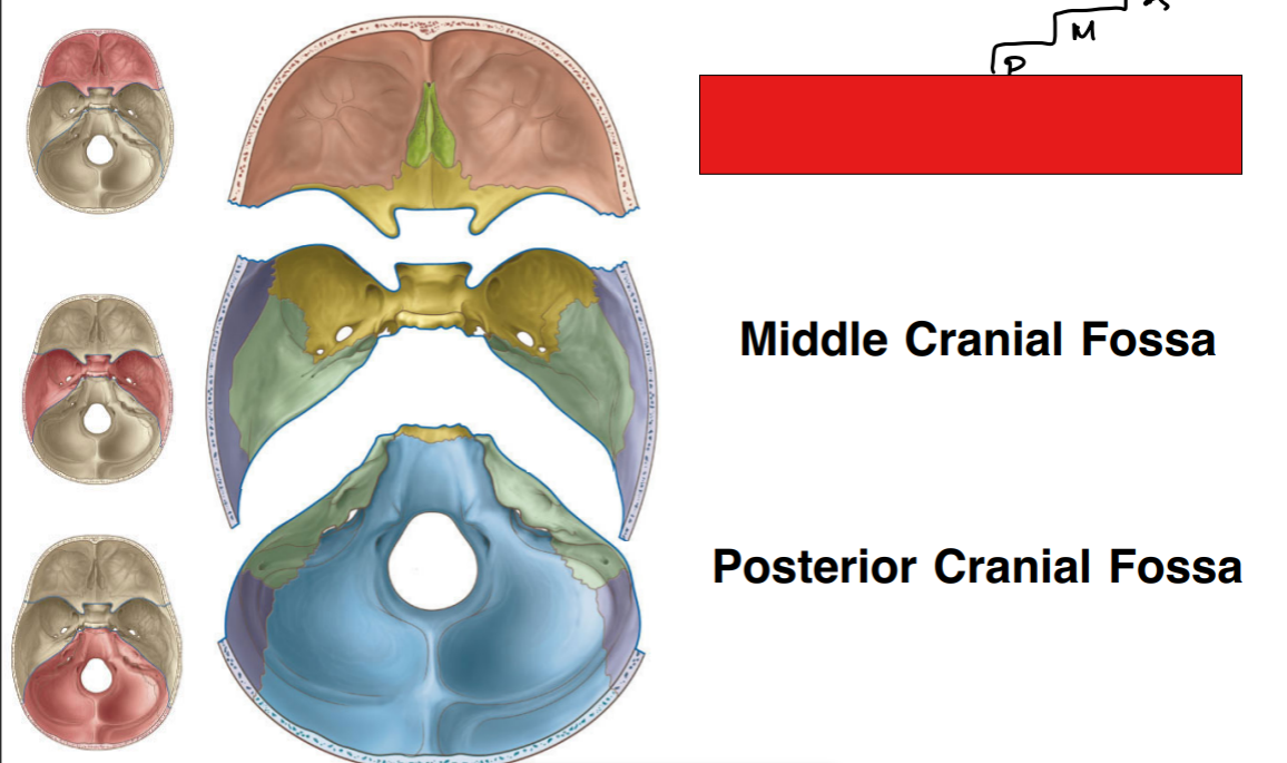 <p>fill in the red box:`</p>