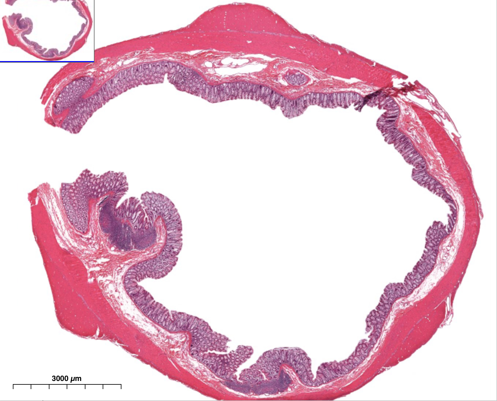 <p>What is this?</p>