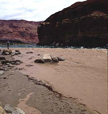 the fine sediment carried within the body of flowing water