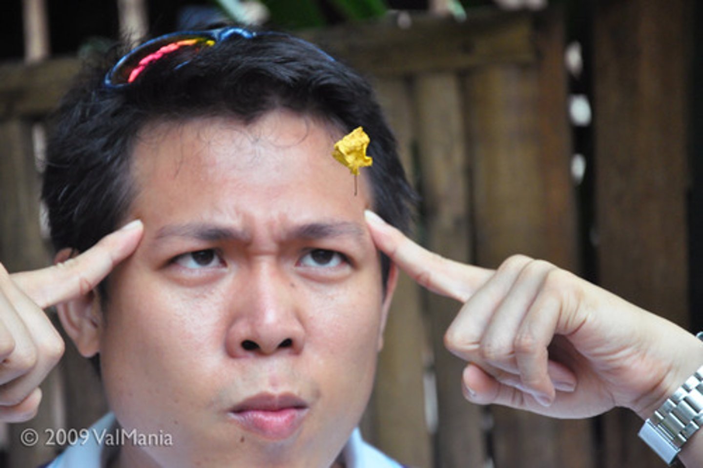 <p>the purported ability to move or deform inanimate objects, as metal spoons, through mental processes.</p>