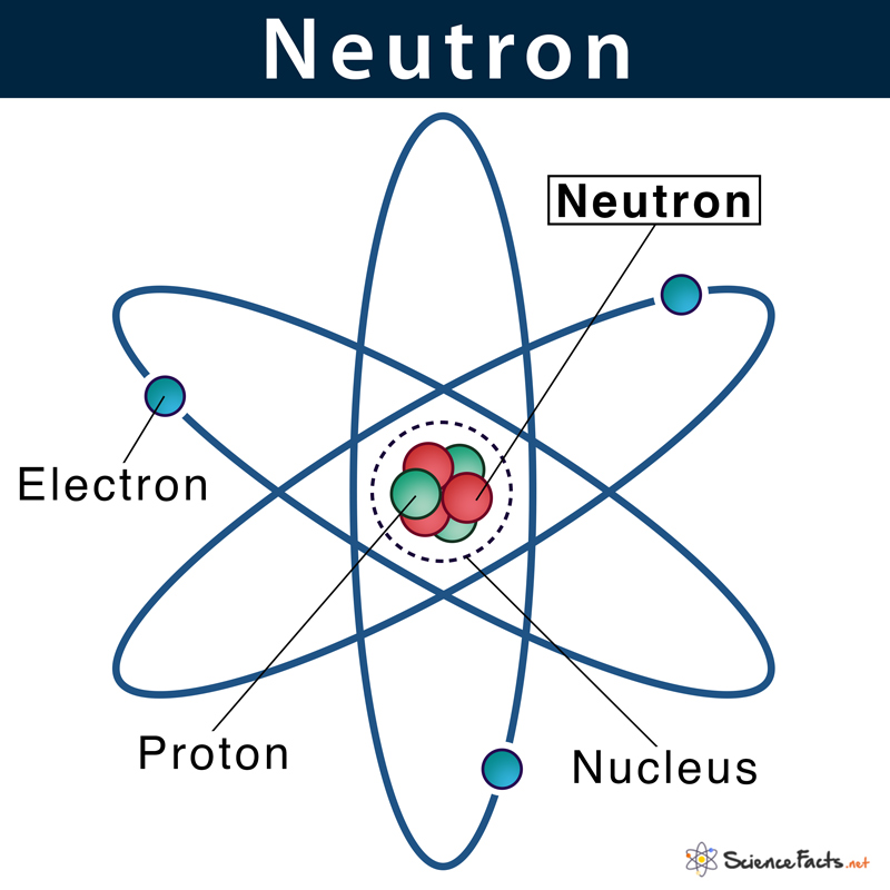 <p>a subatomic particle found in the nucleus of every atom except that of simple hydrogen. The particle derives its name from the fact that it has no electrical charge; it is neutral.</p>