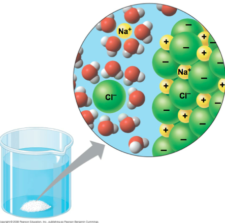 When dissolved positive and negative ions in the lattice separate because the solvent pulls the lattice apart