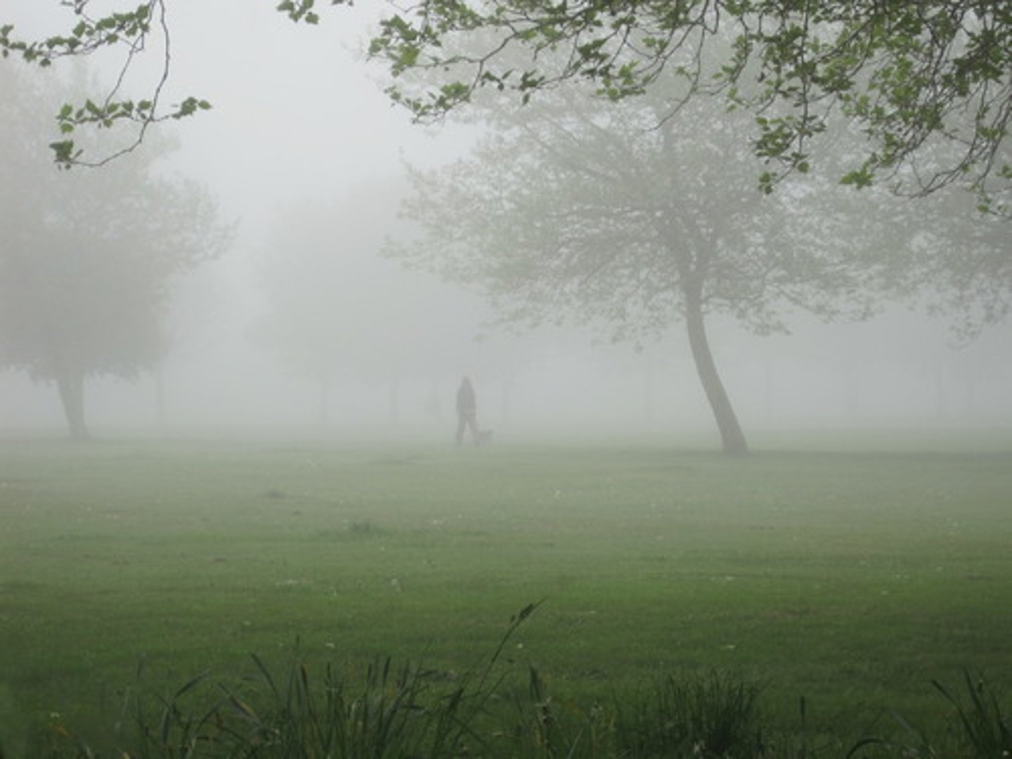 <p>It's foggy/misty</p>