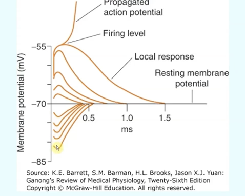 <p>Strength of the triggering event</p><p></p><p>(y axis)</p>