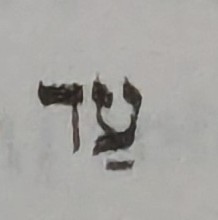 term image