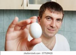 <p>egg</p>