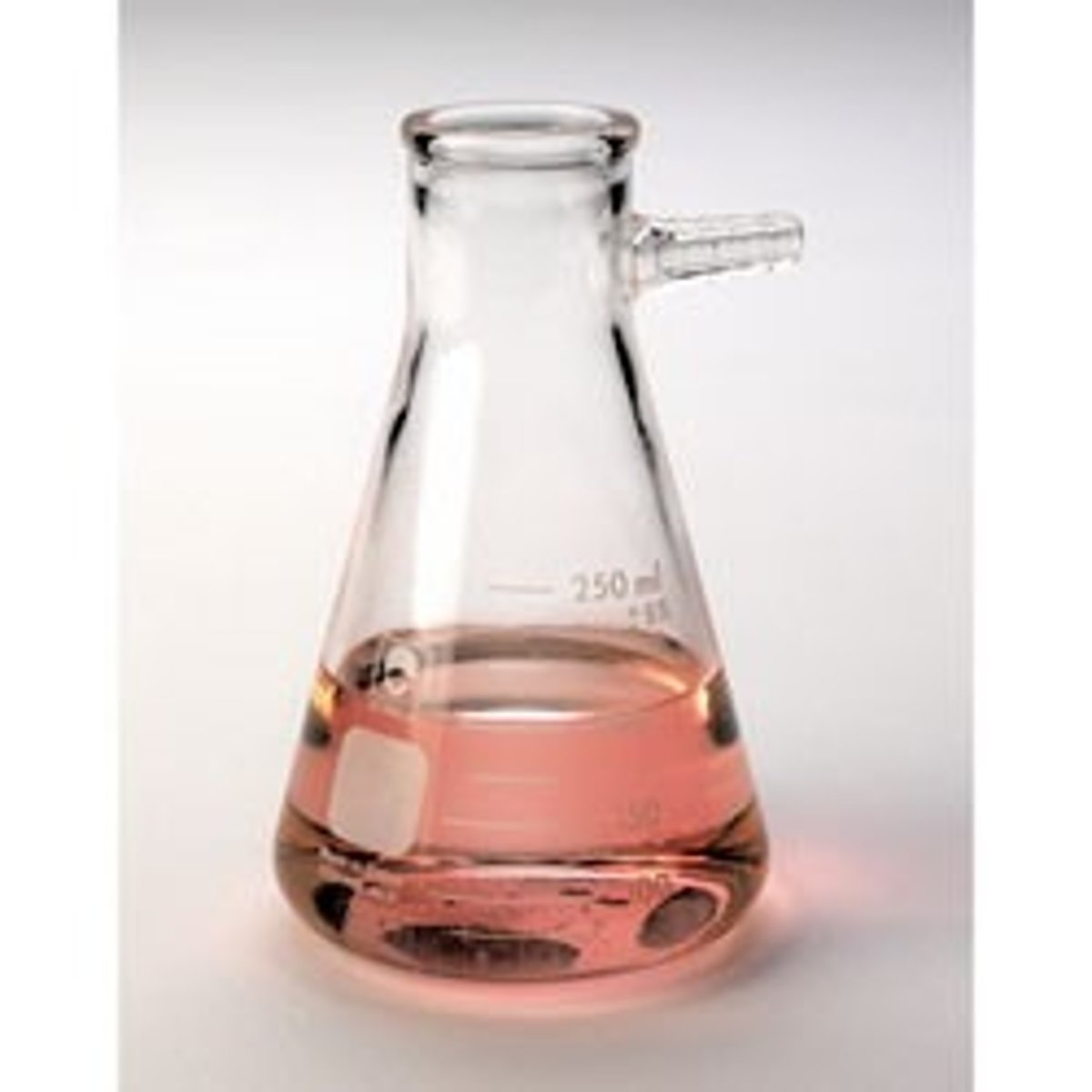 <p>A heavy wall flask designed for use in suction (vacuum) filtration; has a side hose connection to attach vacuum tubing</p>