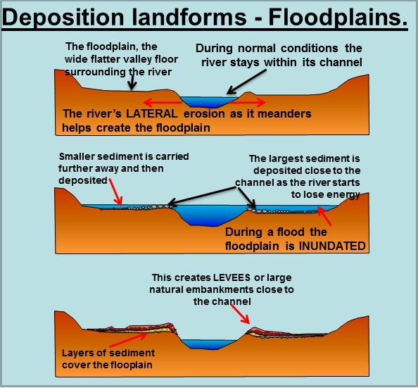 <p></p><ul><li><p>The river transports sediment downstream. When the river floods, it transports the sediment over an area adjacent to the river, depositing largest sediment almost immediately on the sides of the river bank whilst small sediments are carried further away</p></li><li><p>The small fine sediments will help to rise and build the flood plains</p></li><li><p>The flood plains rise over time as a result of sediment built up, which raises the river channel</p></li><li><p>deposition landform </p></li></ul><p></p>