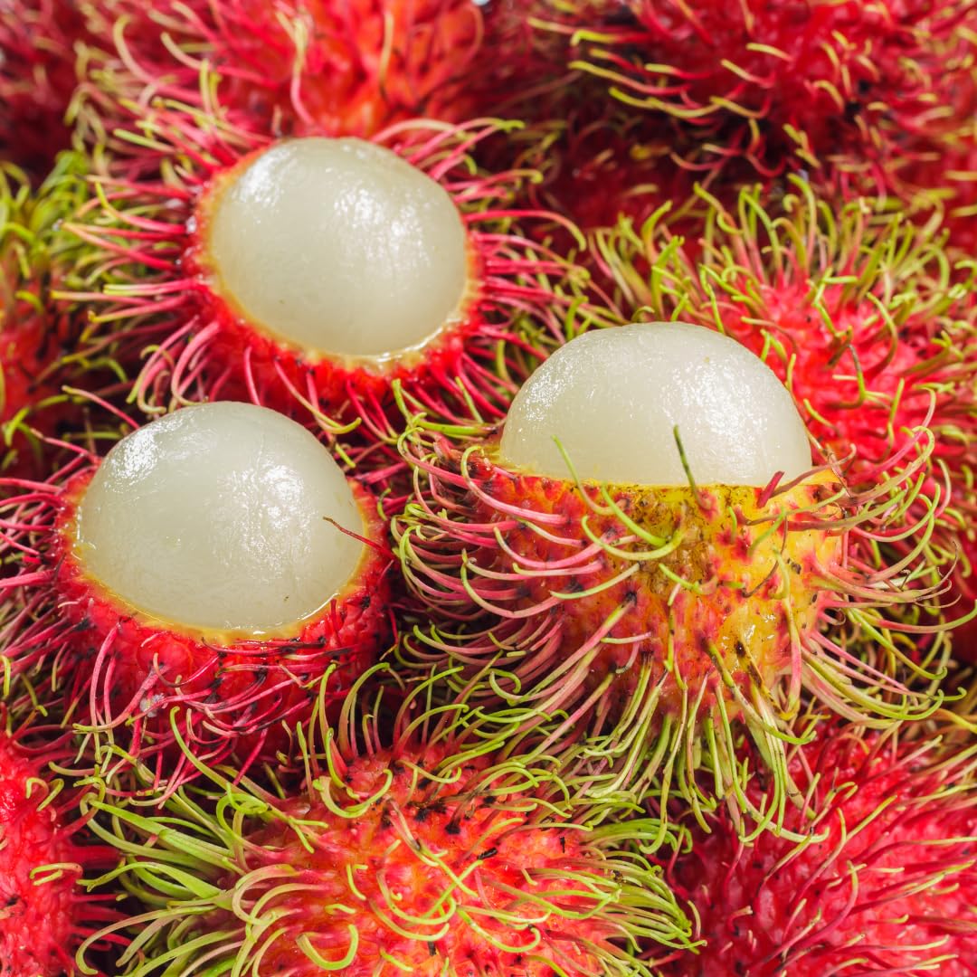 <p>Rambutan</p>