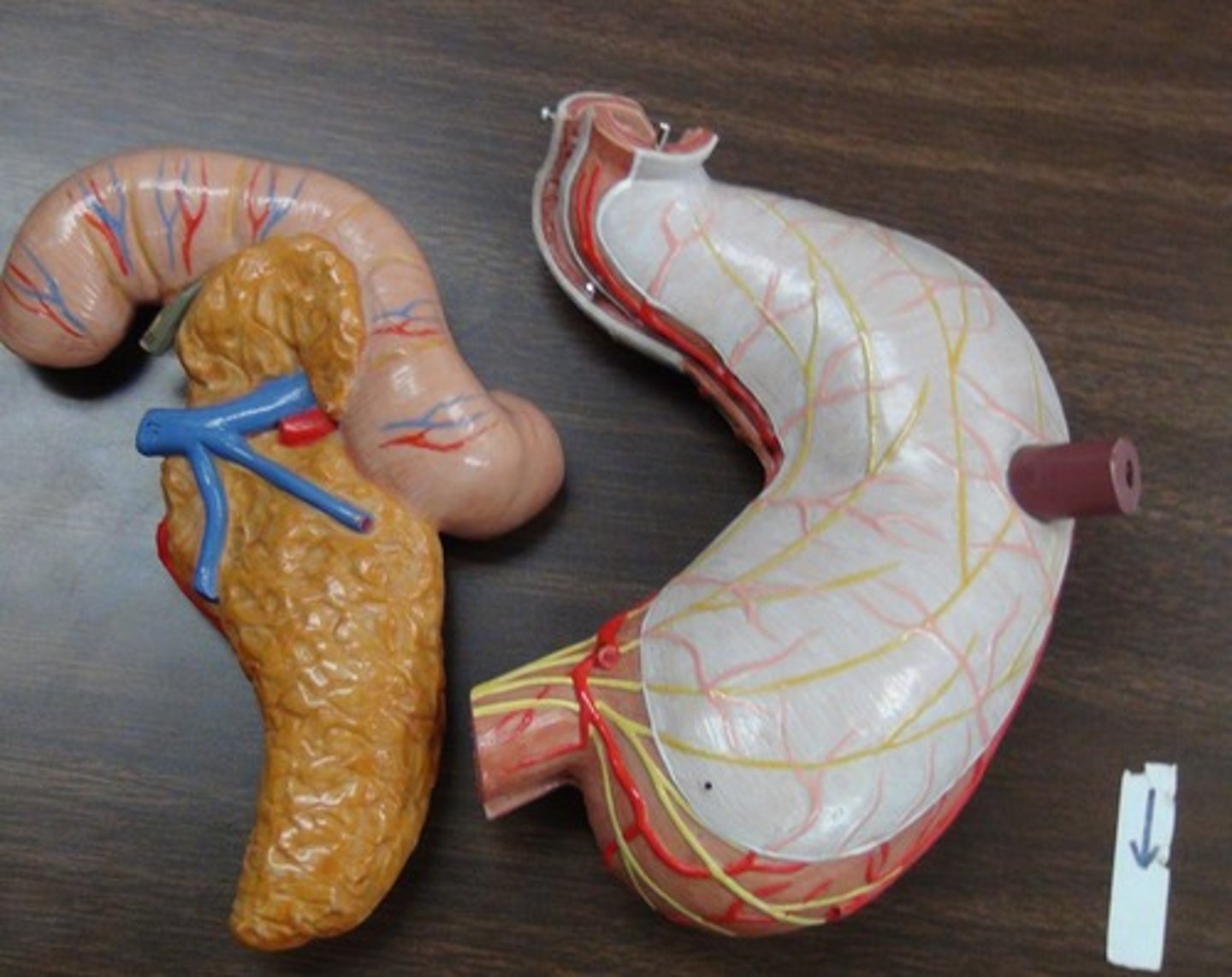 <p>Just Know LOL</p>