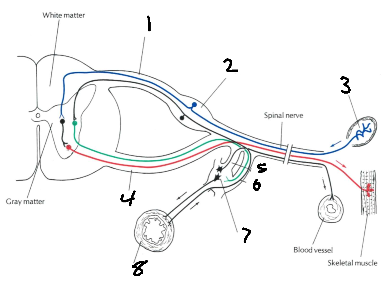 <p>What is 2?</p>