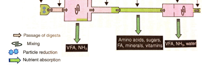 <p>Type?</p>