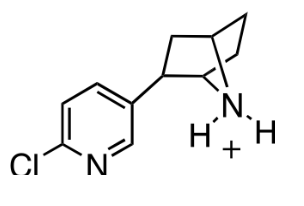 <ul><li><p>agonist of ACh</p></li><li><p>very high binding affinity, very potent</p></li><li><p>blocks pain receptors without being an opioid but very toxic</p></li></ul><p></p>