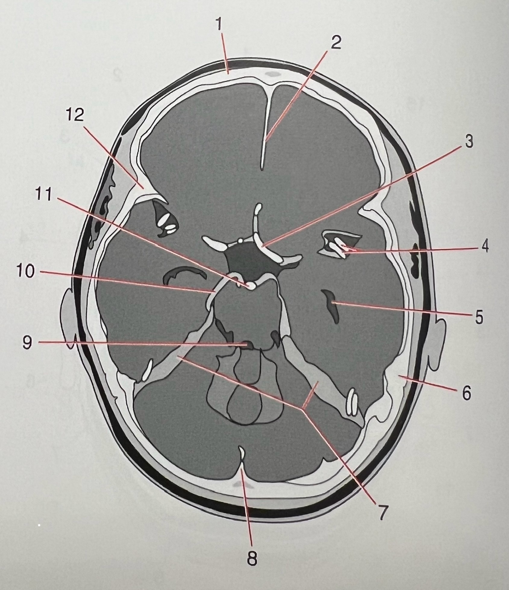 <p>10</p>