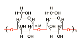 <p>alpha-1,4 linkages</p><p>digested by humans w/ amylase</p>