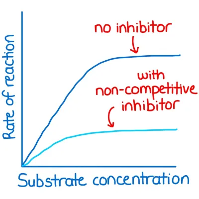 <ul>
<li>different shape to active site</li>
<li>Attach to the enzyme in a region away from the active site (allosteric site).</li>
<li>This distorts the tertiary structure of the enzyme molecule, </li>
<li>changes active site </li>
<li>Substrate can no longer fits into the active site so the enzyme-substrate complexes cannot form and the reaction rate decreases.</li>
<li>Most bind permanently to the enzyme molecule.</li>
<li>Irreversible reaction</li>
</ul>
