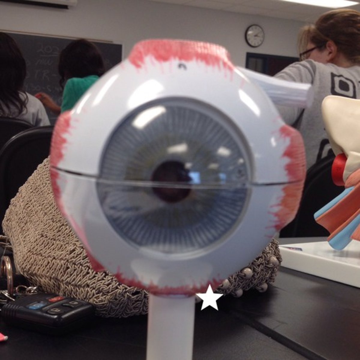 knowt flashcard image