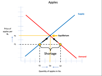 <p><span>When the quantity supplied is lower than the quantity demanded, producers raise prices which increases the quantity supplied along the supply curve and decreases the quantity demanded along the demand curve to establish an equilibrium price and quantity.</span></p>