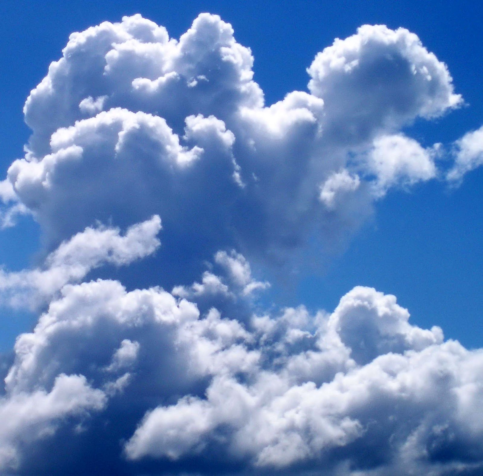 <p>Cloud</p>